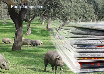noticias jamon