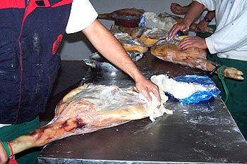 conservar el jamon