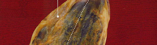 partes jamon serrano