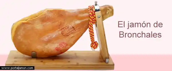 El jamón de Bronchales y sus características