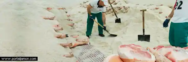 Secaderos y venta de jamones